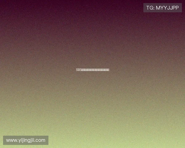 SBS电视台高清直播在线观看与节目回放指南